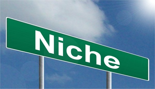 How to choose niche for blog