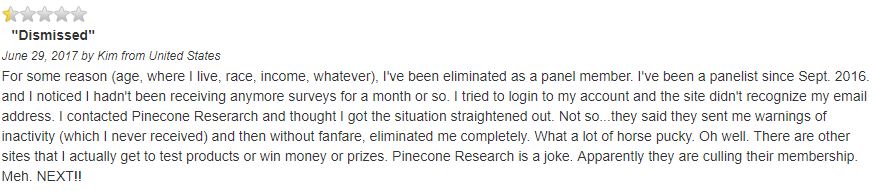 is pinecone research a scam