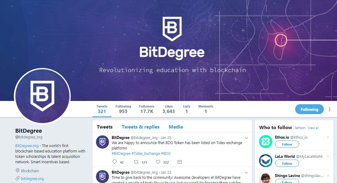 is bitdegree a good investment