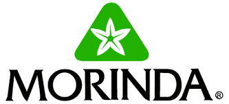 Morinda Noni Juice Scam Logo - Your Online Revenue