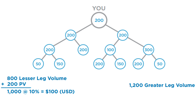 LivElite International Review Binary